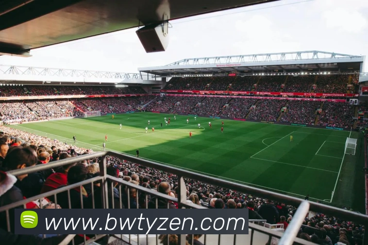 宝威体育APP 封面图